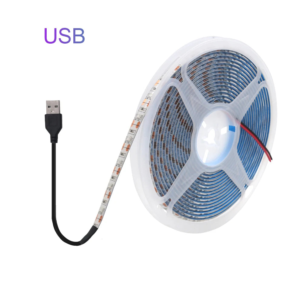 5V USB LED Strip Light Battery Power SMD 2835 3528 60LED 0.5m 1m 2m 5m Cold White Warm Blue Ribbon Cabinet Lights Night DC5V