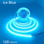 2835 5M 300 600 1200LEDs LED Strip DC12V 24V 120LEDs/m Home Waterproof IP65 Lamp Strip  Flexible And Cuttable Soft Lamp Bar