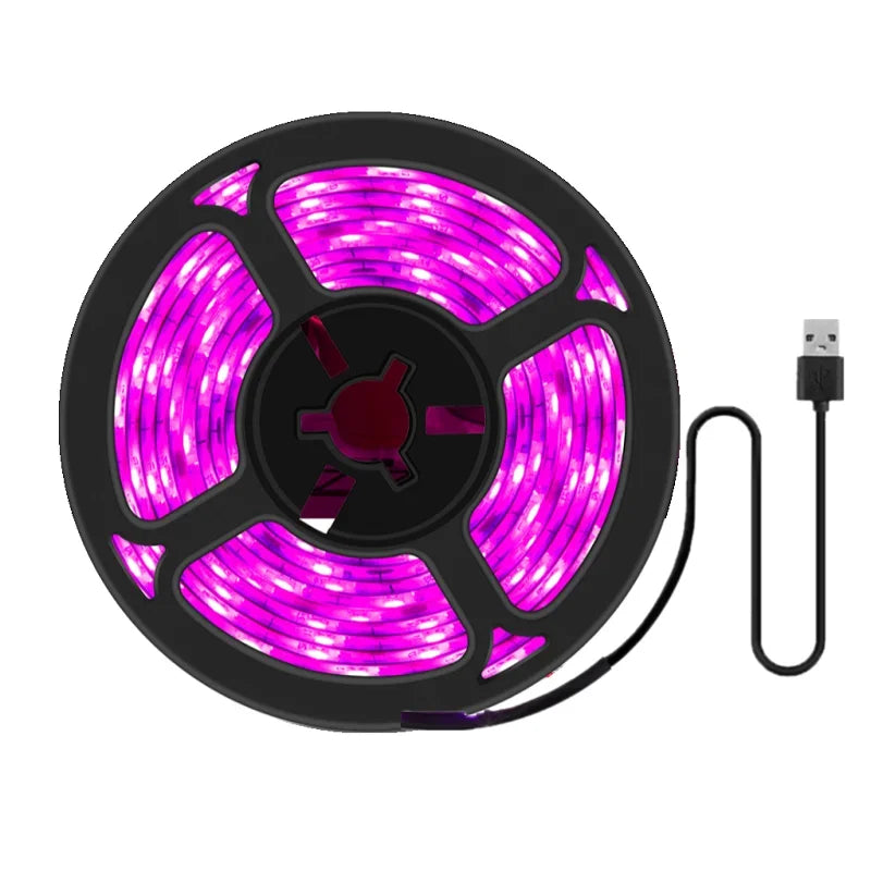 LED Grow Light Full Spectrum USB Grow Light Strip 0.5m 1m 2m 2835 Chip LED Phyto Lamp for Plants Flowers Greenhouse Hydroponic