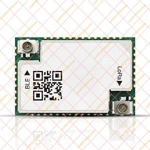 RAK4630 NRF52840 SX1262 Module LoRaWAN IoT Development Board Long Range Wireless Communication Tech Specs
