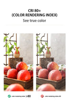 10pcs Led Mini Bulb 220V E27 E14 B22 Globe Bulb Energy Saving Lamp 3W 5W 6W 7W Led Warm Cold Light for Home Decoration