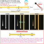 COB SPI LED Strip Light 24V 5m Addressable Pixels White CCT RGB RGBW RGBCCT WS2811 WS2814 Digital IC FCOB Magic Color Tape Rope