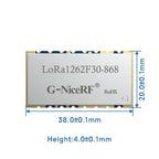 2pc/lot LoRa1262F30 868MHz SX1262 33dBm -148dBm TCXO High Sensitivity Low Current 2W SPI Port LoRa Module
