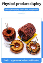 47mm Double Ring 1mH 2mH 3mH 220uH Charging Pile Inductor LCL Filter Inductor PFC