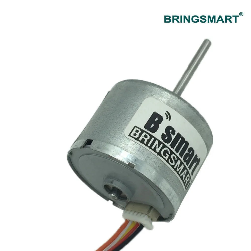 Bringsmart BLDC Motor R2418 High Speed Electric Machine 8700rpm 24V PWM Speed Adjusting CW/CCW Brushless DC Motor Customized