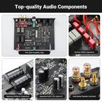 AIYIMA A20 PFFB Stereo Power Amplifier TPA3255 HiFi 2.0 Audio Amp 300Wx2 with XLR/RCA Fully Balanced Input HPF High Pass Filter