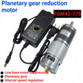 PGM42-775 planetary reduction motor, with EU/US power supply, high power and low noise