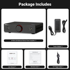 AIYIMA A20 PFFB Stereo Power Amplifier TPA3255 HiFi 2.0 Audio Amp 300Wx2 with XLR/RCA Fully Balanced Input HPF High Pass Filter