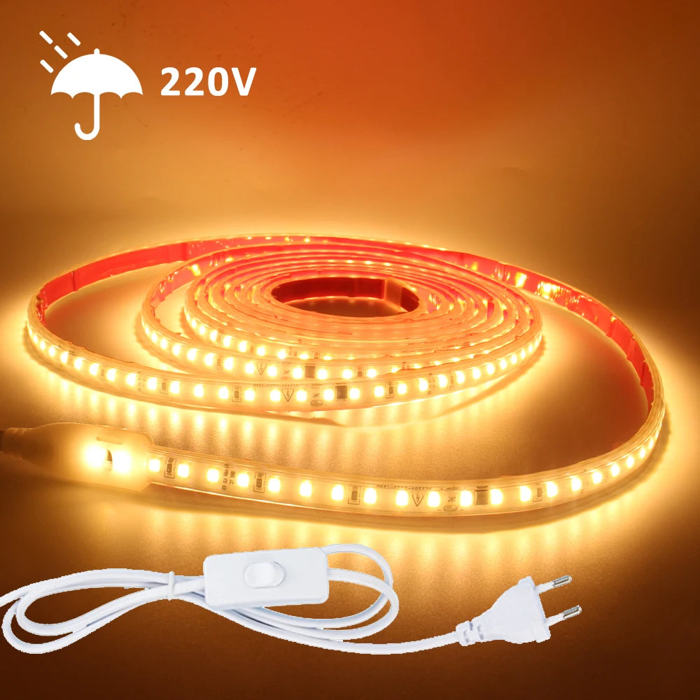 220V LED Strip Light SMD2835 120LEDs/m Waterproof Tape Lamp with EU Plug 1M 2M 3M 5M 10M 15M 20M Decor Lighting for the Yard