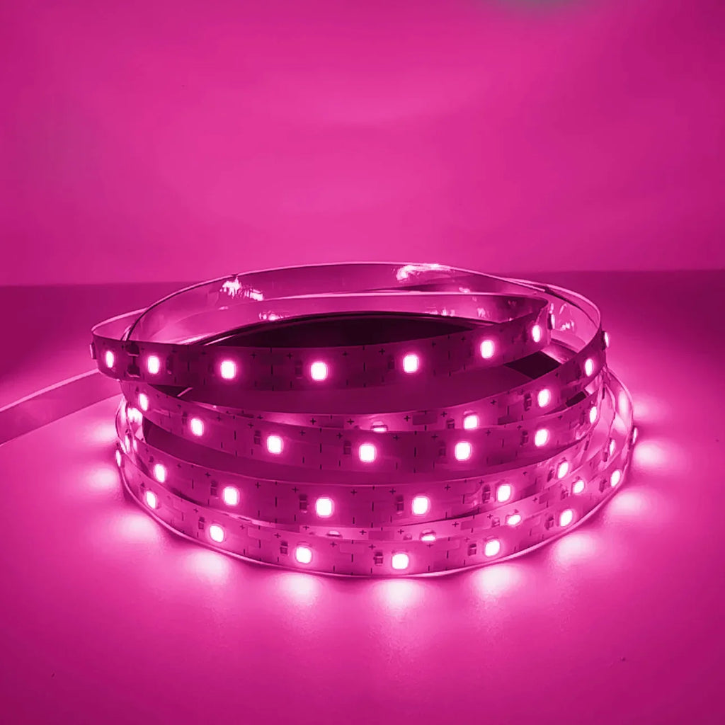60LEDs/m 120LEDs/m Home DC12V Lamp Strip 2835 LED Strip Decor Red Ice Blue Green Yellow Pink Flexible And Cuttable Soft Lamp Bar