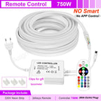 30M 20M 10M RGB LED Neon Strip Light 220V Decor Home Lighting Waterproof Flexible LED Ribbon Remote/Bluetooth/Tuya WiFi Control