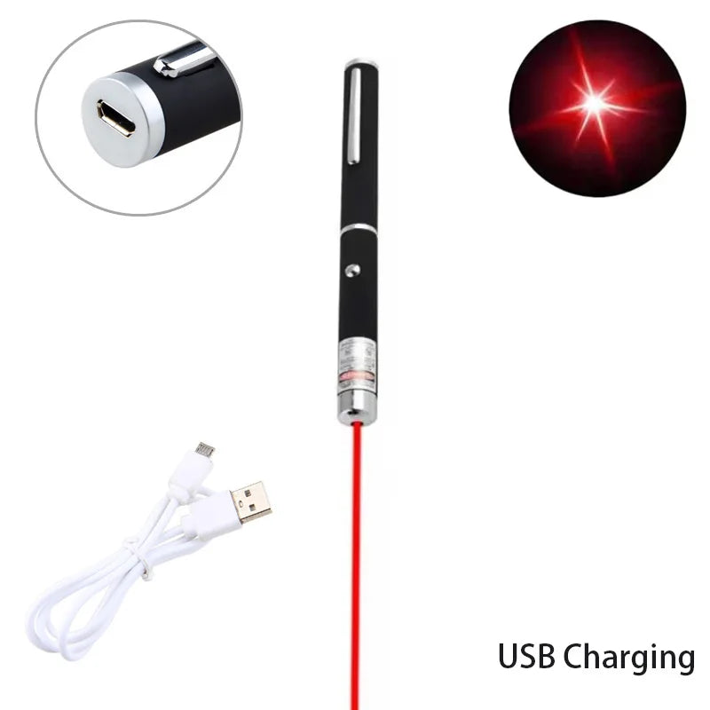 Handheld LED Flashlight, Funny Interactive Toy for Pets, Cat Play Accessories Holiday Present