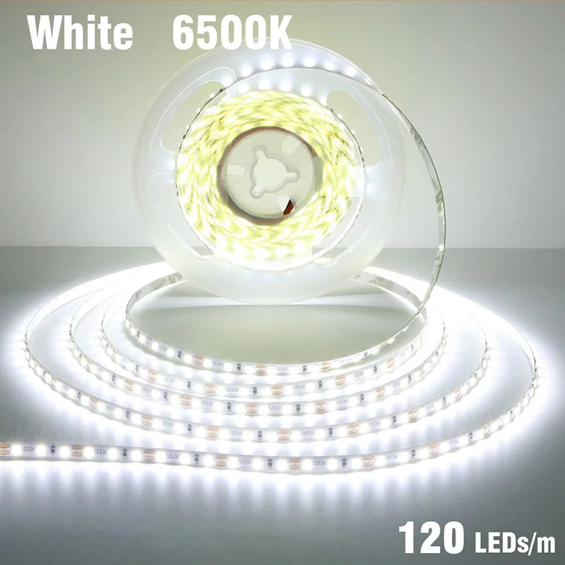 5mm 8mm LED Strip 2835 DC24V 12V 120LEDs/m Home Lamp Strips Red Ice Blue Yellow Orange Pink Flexible And Cuttable Soft Lamp Bar