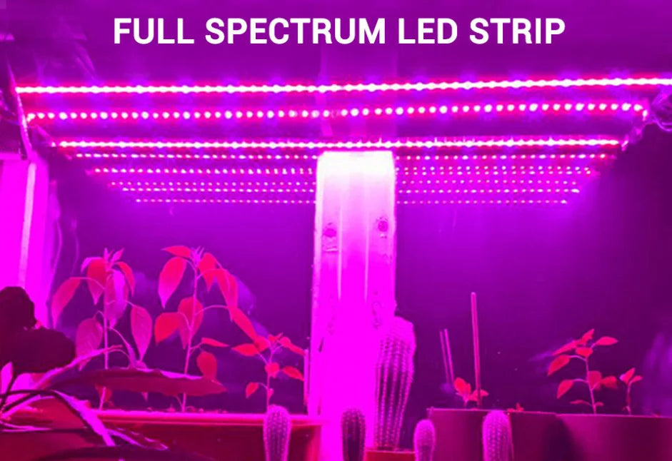 LED Grow Light Full Spectrum USB Grow Light Strip 0.5m 1m 2m 2835 Chip LED Phyto Lamp for Plants Flowers Greenhouse Hydroponic