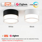 Led Surface Downlight 3CCT Tuya Bluetooth/ Zigbee Matter Fixtures Lighting Indoor Smart Lamp Lighting