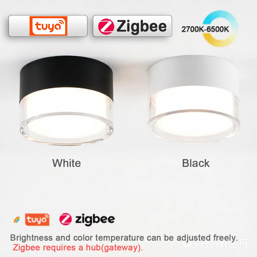 Led Surface Downlight 3CCT Tuya Bluetooth/ Zigbee Matter Fixtures Lighting Indoor Smart Lamp Lighting