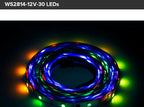 WS2814 DC12V 24V Led Strip Light 4 in 1 Similar SK6812 RGBW Pixels Addressable WS2811 RGBWW RGBCW 5050 3 Pin Lights IP30 65 67