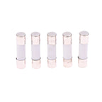 100Pcs Ceramic Fuse  5MM X 20MM Slow Blow T 0.25A 0.5A 1A 2A 3A 5A 8A 10A 15A 20A 250V Ceramic Fuse