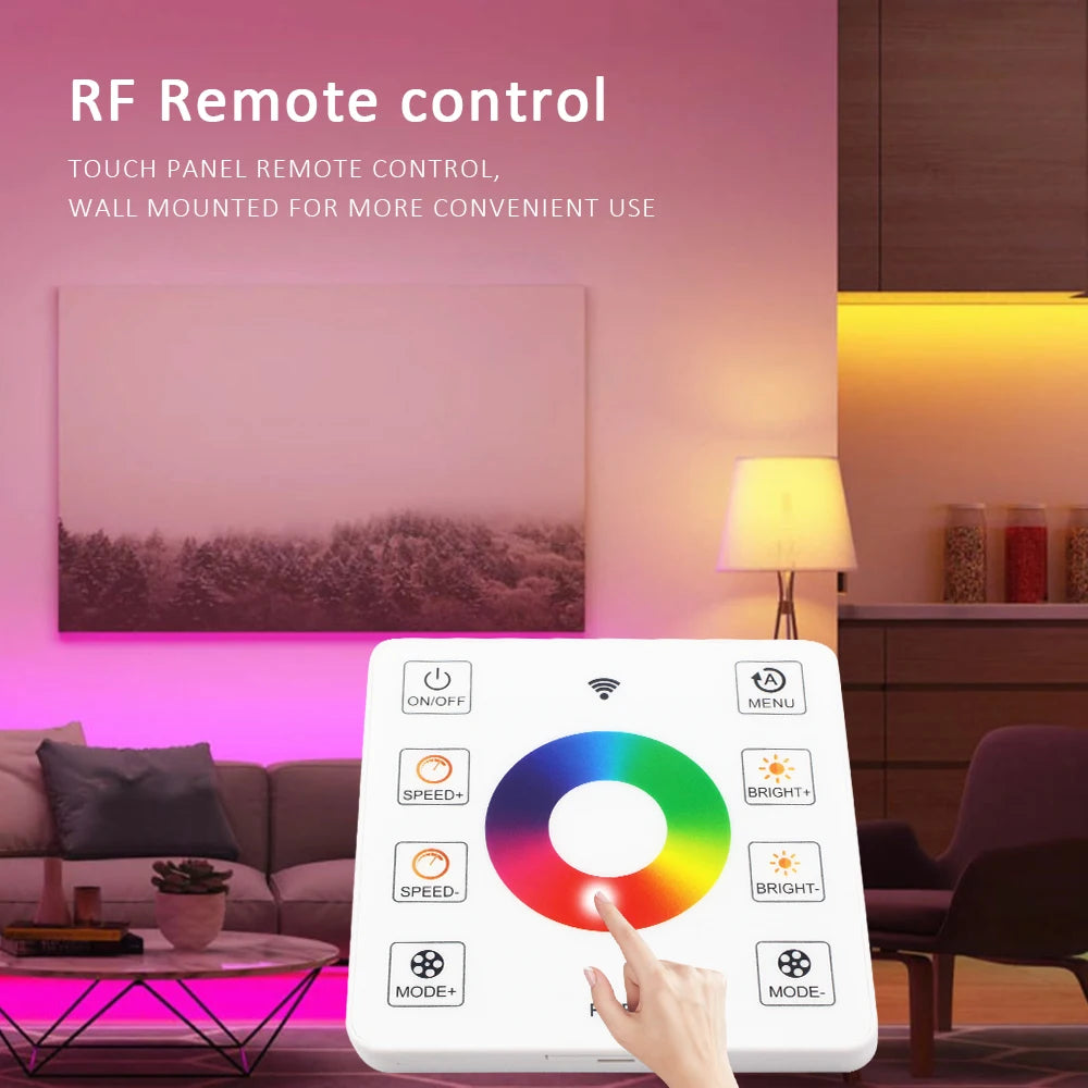 WS2811 RGB IC Running Water Flowing Strip Lights DC 24V 5050 60Leds RGBIC Flexible Ribbon RF Touch Remote Control LED Lighting