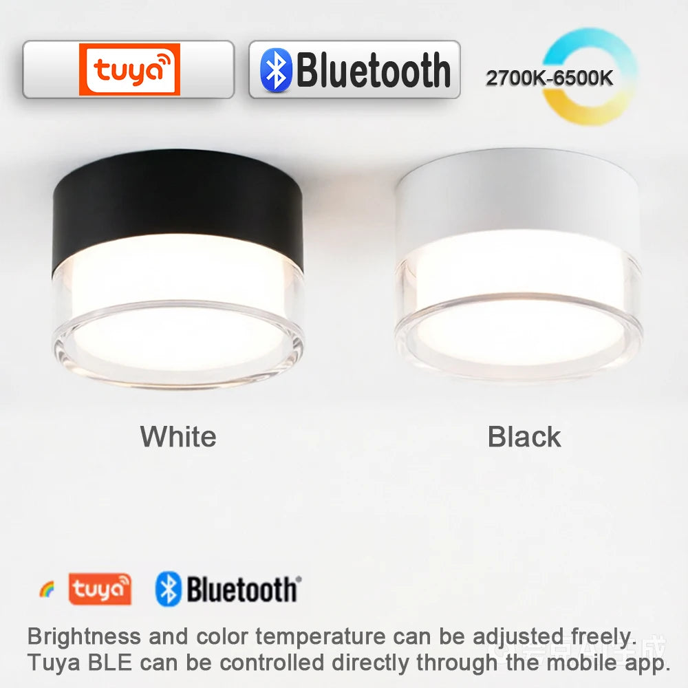 Led Surface Downlight 3CCT Tuya Bluetooth/ Zigbee Matter Fixtures Lighting Indoor Smart Lamp Lighting