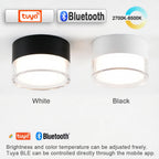 Led Surface Downlight 3CCT Tuya Bluetooth/ Zigbee Matter Fixtures Lighting Indoor Smart Lamp Lighting