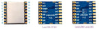 G-NiceRF | 2 PCS LORA1280-TCXO LoRa Module 2.4GHz SX1280 Long Distance SPI Interface FCC ID&CE-RED Certification