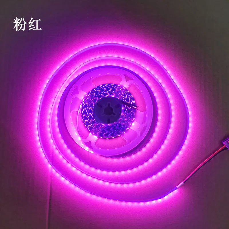 12V LED Strip 2835 8mm 5m IP20 Non Waterproof 120LEDs/m Blue/Red/Green/White /Warm White/Yellow/Pink/Natural White/Ice blue