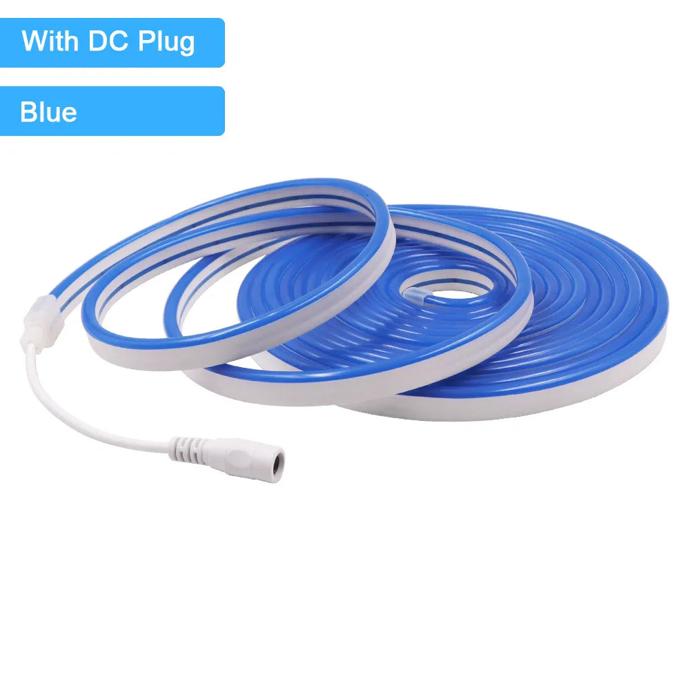 12V 24V LED Neon Light Strip Waterproof Neon Sign 6X12mm Silicone Rope Lights Flexible Lamp Decoration with DC Plug/2pin Wire