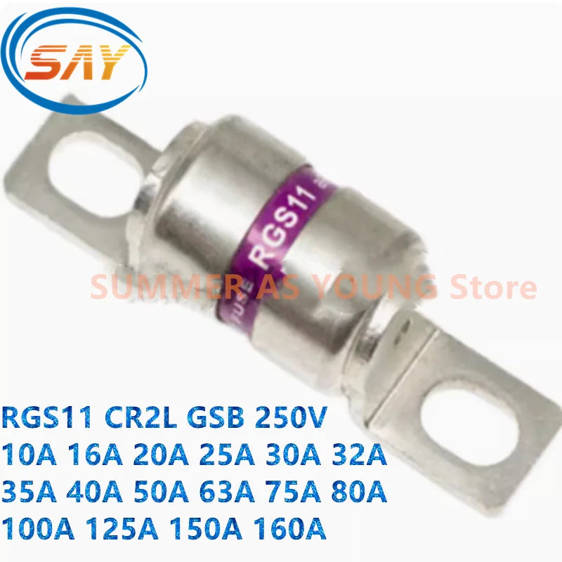 2PCS/LOT Ceramic Fuse RGS11 CR2L GSB 10A 16A 20A 25A 30A 32A 35A 40A 50A 63A 75A 80A 100A 125A 150A 160A 250V