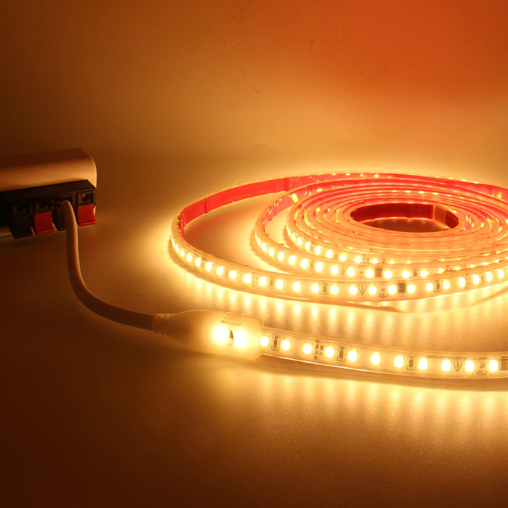 AC 220V 230V 2835 LED Strip Light Waterproof IP67 120LEDs/m Flexible Tape Lamp Warm Cold White 1M 2M 3M 5M 10M 20M Home Lighting