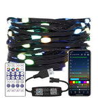 WS2812B RGB LED StringTransparent Green Black Wire Addressable  Wedding Garland Decoration Christmas Lights USB Controller DC5V