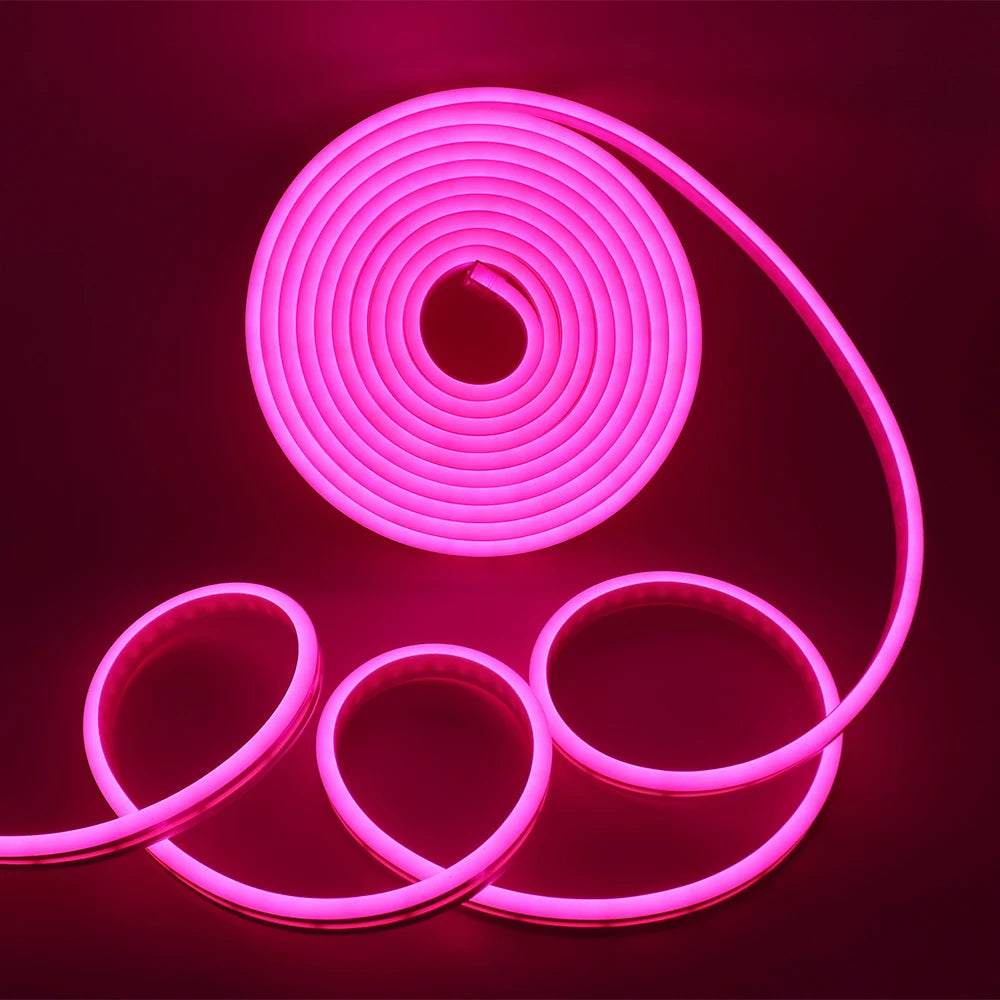 Neon Strip DC 12V IP65 Waterproof 2835 120Leds/M White/Blue/Pink/Yellow/Red/Green Flexible Ribbion Rope LED Strip 0.5M 1M 3M 5M