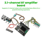 DC 12-24V MT21S Lead Version Ktv Microphone And Audio All-In-One Machine 2.1 Channel Bluetooth Amplifier Board 50W+50W+100W