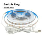 5V USB 2835 LED Strip Light with DC Plug 3528 SMD Flexible Led Tape Ribbon 60LED 0.5m 1m 2m 5m Cabinet Lights Night TV Backlight