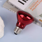 25/40/50/60/75/100W E27 UVA Poultry Bulb Infrared Night Light Day Poultry Heating Bulb For Plants Amphibians Reptile Pets