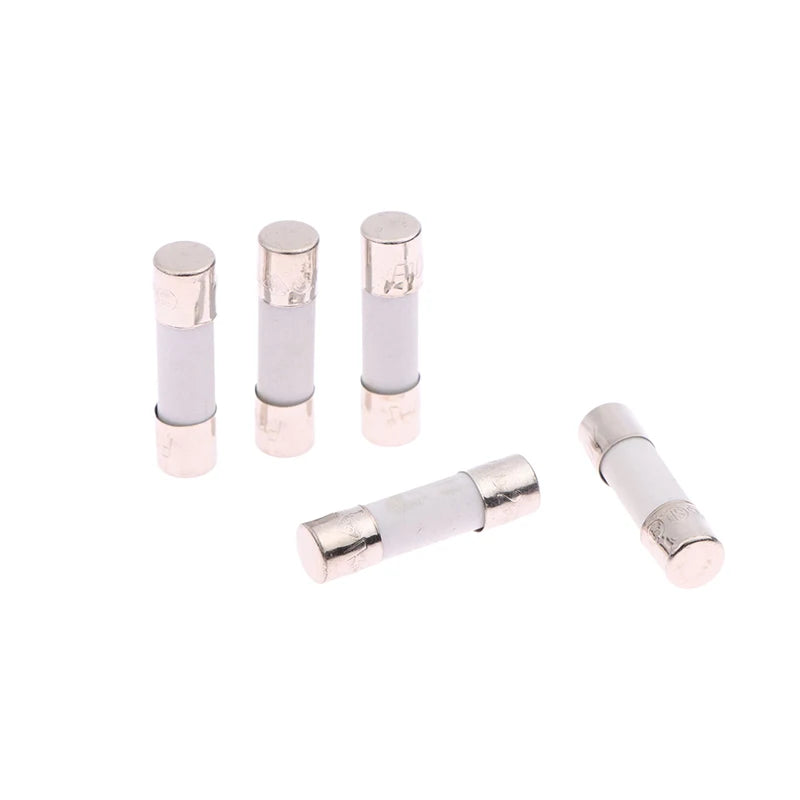 100Pcs Ceramic Fuse  5MM X 20MM Slow Blow T 0.25A 0.5A 1A 2A 3A 5A 8A 10A 15A 20A 250V Ceramic Fuse