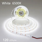 12V 24V LED Strip 2835 120LEDs/m Home Lamp Strip Pink Red Ice Blue Green Golden Yellow Orange Flexible Waterproof Soft Lamp Bar
