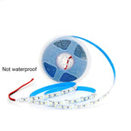 5M 600LEDs LED Strip 2835 DC12V 24V 120LEDs/m Home Lamp Strip Red Ice Blue Green Yellow Pink Flexible And Cuttable Soft Lamp Bar