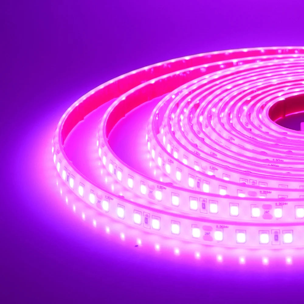 12V 24V 5m 10m 20m LED Strip Light IP68 Waterproof 2835 9 Colors Flexible Tape with 2pin Wire 120LED/m Bright Ribbon 0.5m 1m 2m