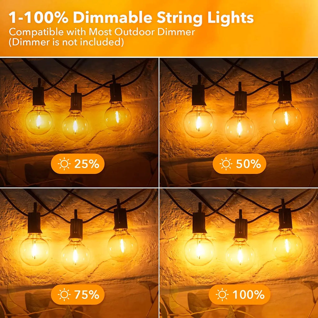 G40 LED String Light Replacement Bulbs E12 220V 110V Globe Light Bulb Warm White 2200K 10W Equivalent Indoor Outdoor Decor