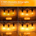 G40 LED String Light Replacement Bulbs E12 220V 110V Globe Light Bulb Warm White 2200K 10W Equivalent Indoor Outdoor Decor