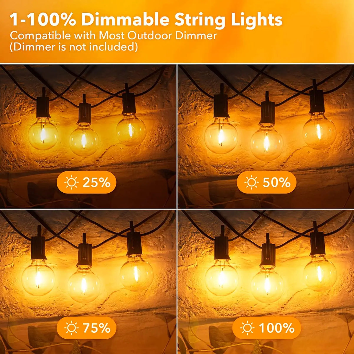 G40 LED String Light Replacement Bulbs E12 220V 110V Globe Light Bulb Warm White 2200K 10W Equivalent Indoor Outdoor Decor