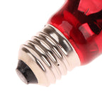25/40/50/60/75/100W E27 UVA Poultry Bulb Infrared Night Light Day Poultry Heating Bulb For Plants Amphibians Reptile Pets