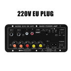 D10 Digital Bluetooth Amplifier Board 110V 220V 12V Subwoofer D 10 Dual Microphone Karaoke Amp Speaker Home Theater DIY BASS AMP