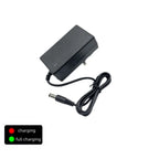 12.6V 2A 18650 Lithium Battery Charger For 12V 3Series Li-ion Battery Polymer Smart Charger 18650 Battery Pack 5.5mm X 2.1mm DC