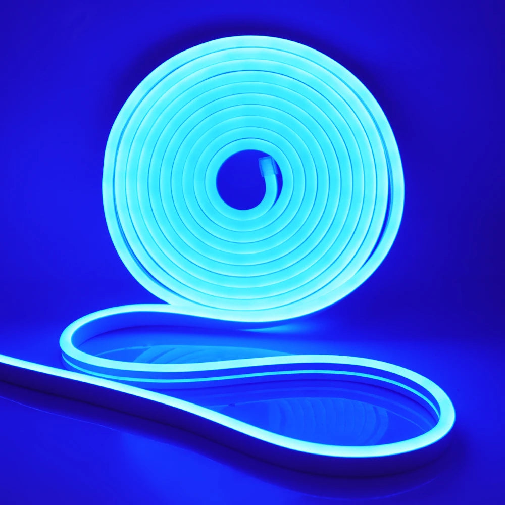Neon Strip DC 12V IP65 Waterproof 2835 120Leds/M White/Blue/Pink/Yellow/Red/Green Flexible Ribbion Rope LED Strip 0.5M 1M 3M 5M