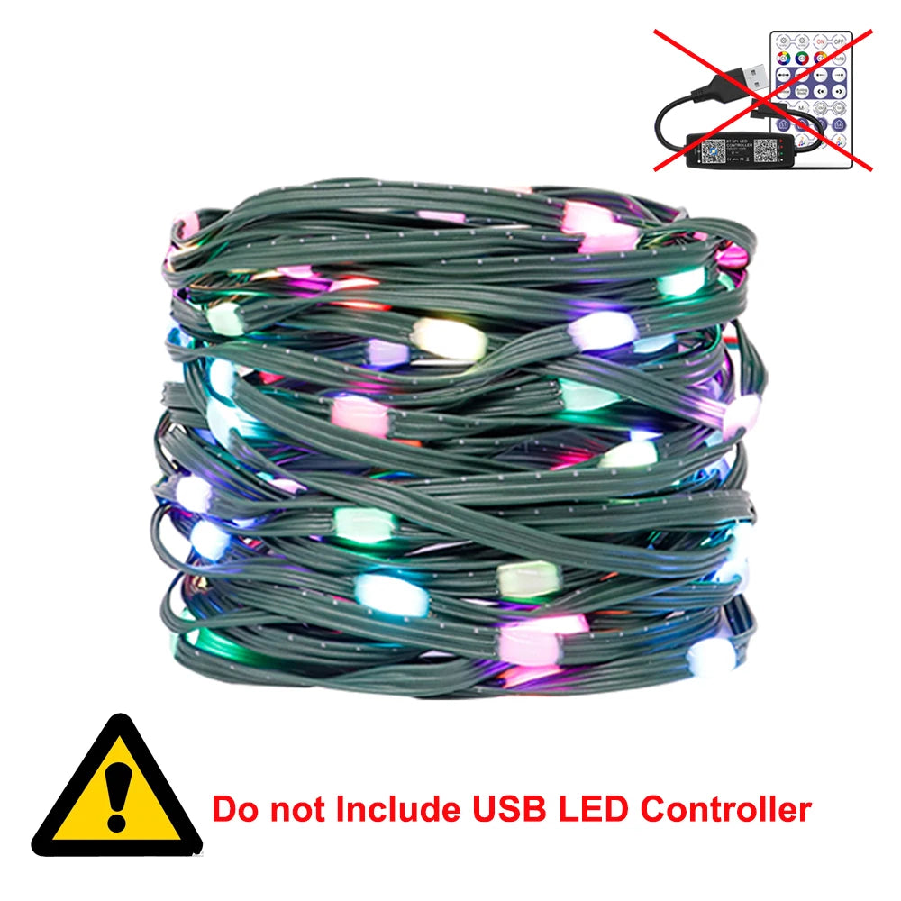WS2812B RGBIC LED String 5M-20M Dream Color Party Christmas Lights Individually Addressable String Lights Waterproof USB DC DC5V