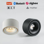 LED Surface Mounted Ceiling Light, 3CCT TUYA Bluetooth/Zigbee Matter Smart Spotlight Dimmable AC110V 220V Indoor Lighting