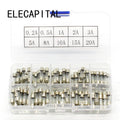 Promotion! 100Pcs Set 5x20mm Quick Blow Glass Tube Fuse Assorted Kits,Fast-blow Glass Fuses