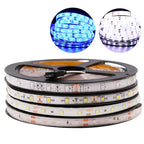 5M LED Strip SMD 5050 5054 LED Tape Waterproof Ribbon Diode 12V 2835 Flexible Neon Lights 60/120Leds/m LED Lights for Room Decor